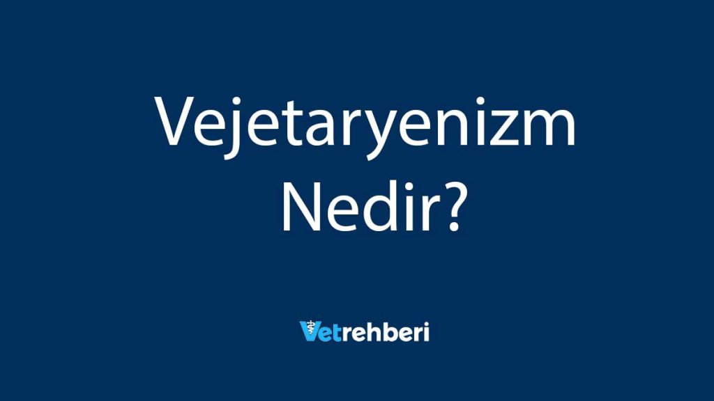 Vejetaryenizm Nedir?