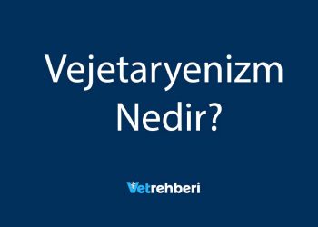 Vejetaryenizm Nedir?
