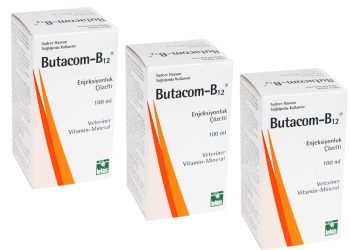 Butacom-B12