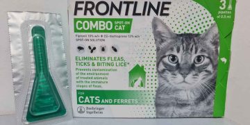 Frontline Combo Spot-On Kedi