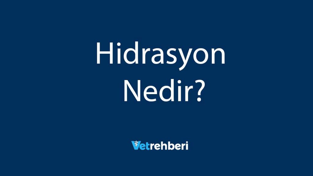 Hidrasyon Nedir?