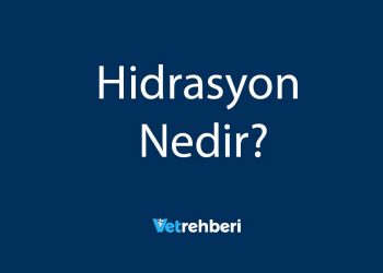 Hidrasyon Nedir?