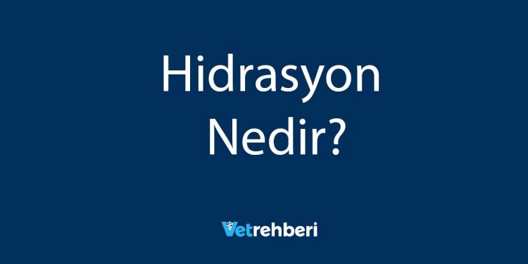 Hidrasyon Nedir?