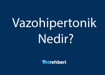 Vazohipertonik Nedir?