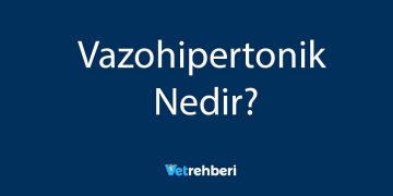 Vazohipertonik Nedir?
