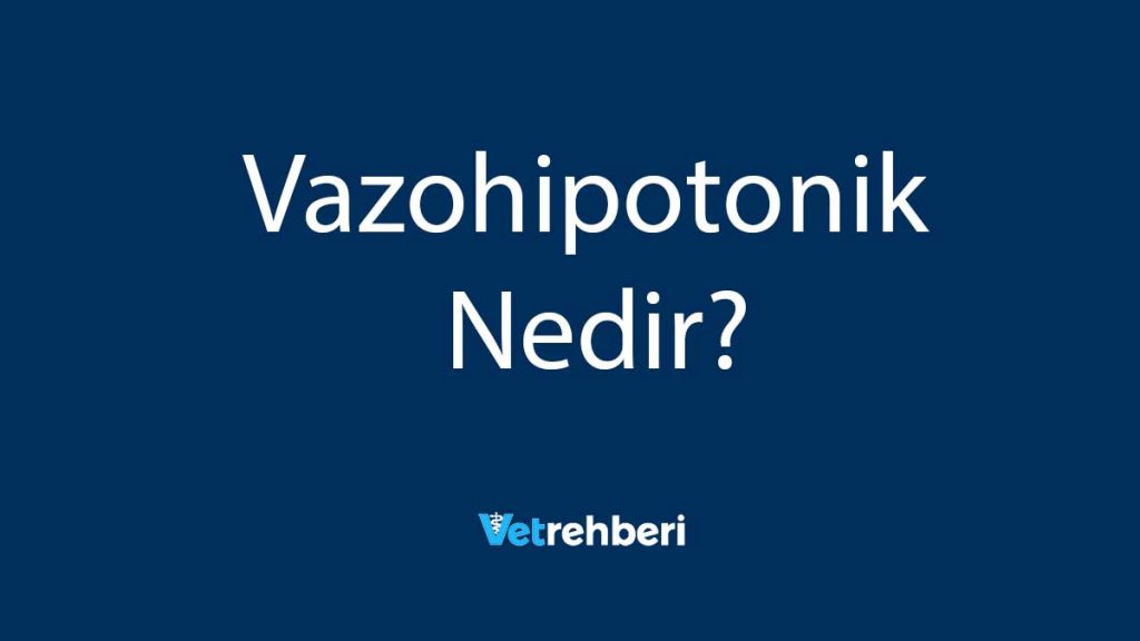 Vazohipotonik Nedir?