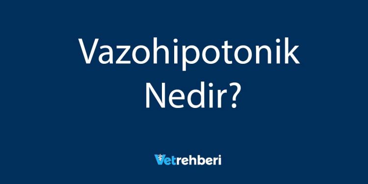 Vazohipotonik Nedir?