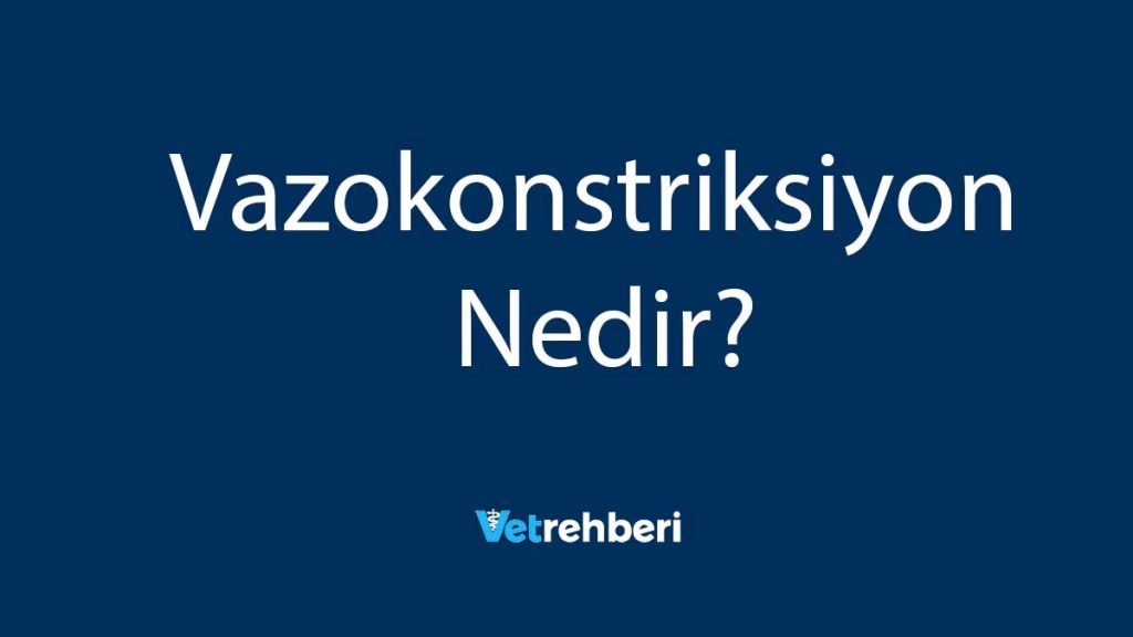 Vazokonstriksiyon Nedir?