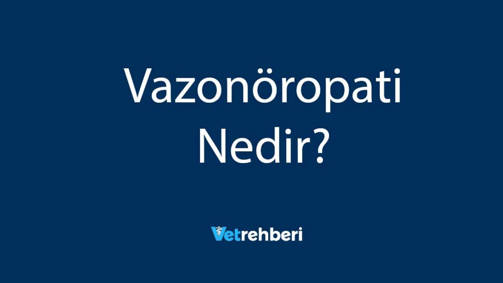 Vazonöropati Nedir?