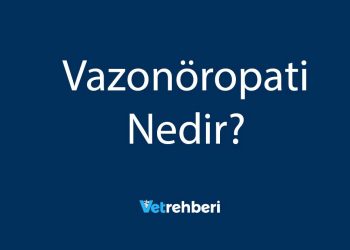 Vazonöropati Nedir?