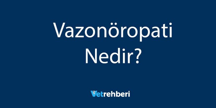 Vazonöropati Nedir?