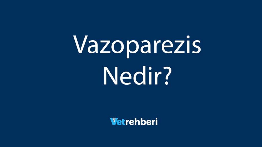 Vazoparezis Nedir?