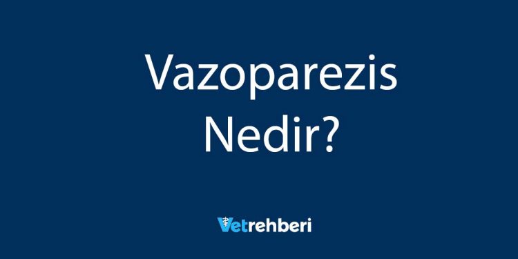 Vazoparezis Nedir?