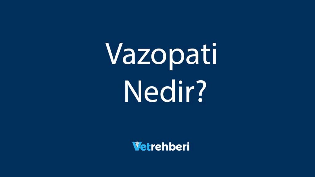 Vazopati Nedir?