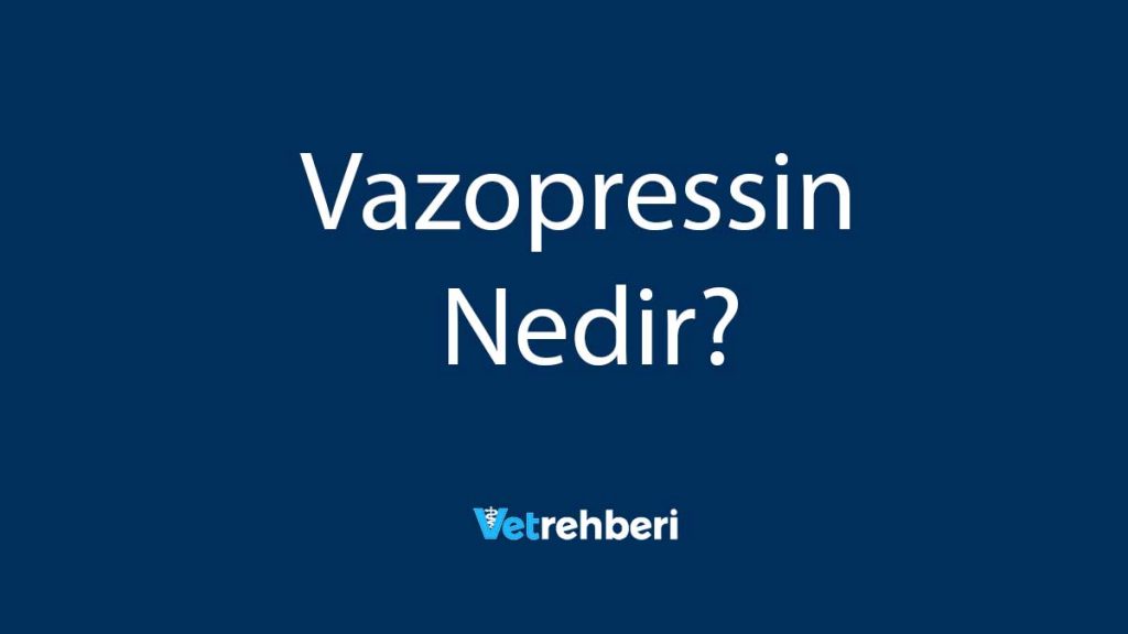 Vazopressin Nedir?