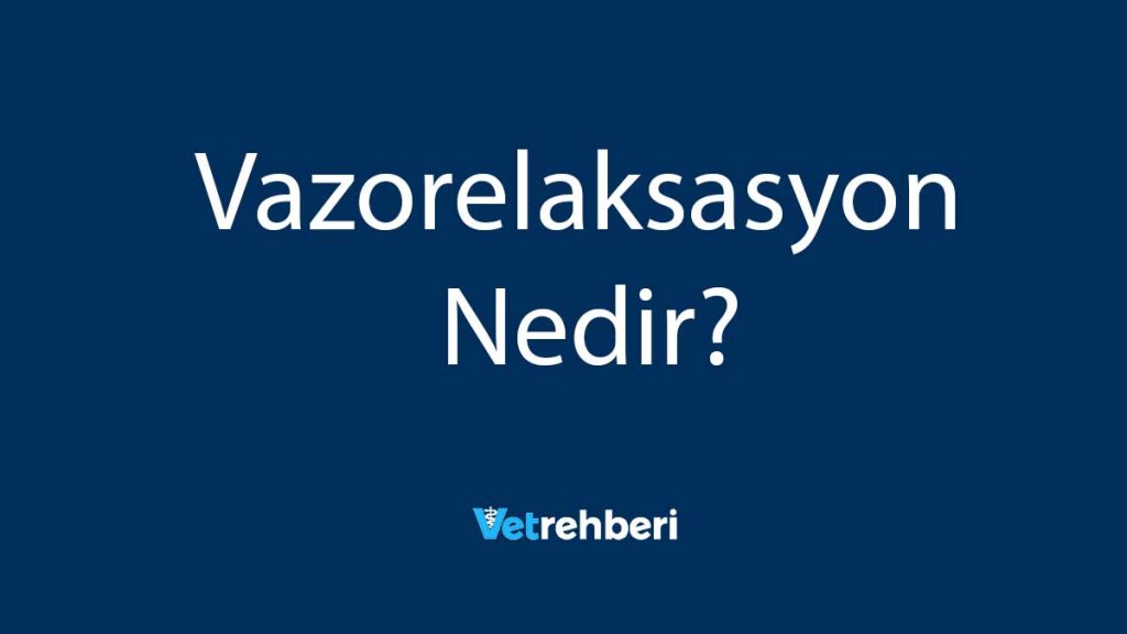 Vazorelaksasyon Nedir?