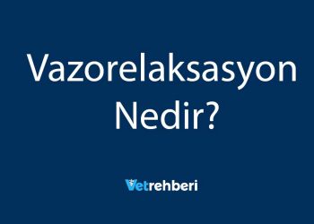 Vazorelaksasyon Nedir?