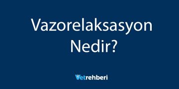 Vazorelaksasyon Nedir?