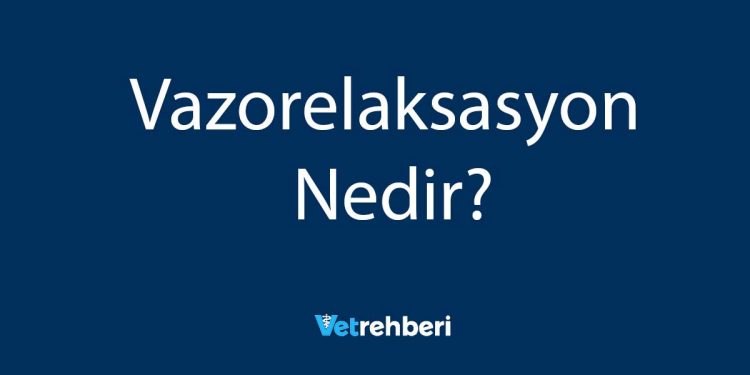 Vazorelaksasyon Nedir?