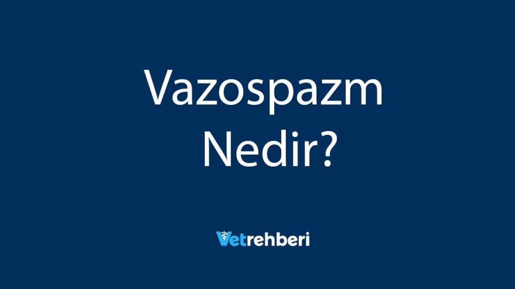 Vazospazm Nedir?