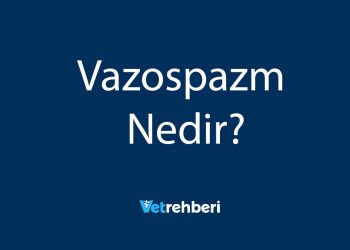 Vazospazm Nedir?