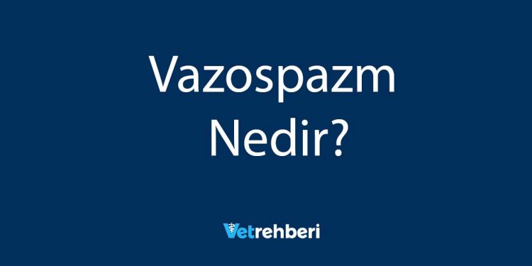 Vazospazm Nedir?