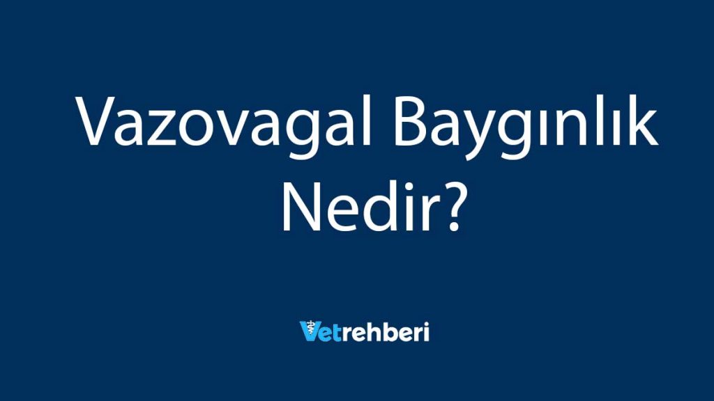 Vazovagal Baygınlık Nedir?