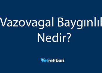 Vazovagal Baygınlık Nedir?