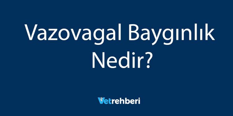 Vazovagal Baygınlık Nedir?