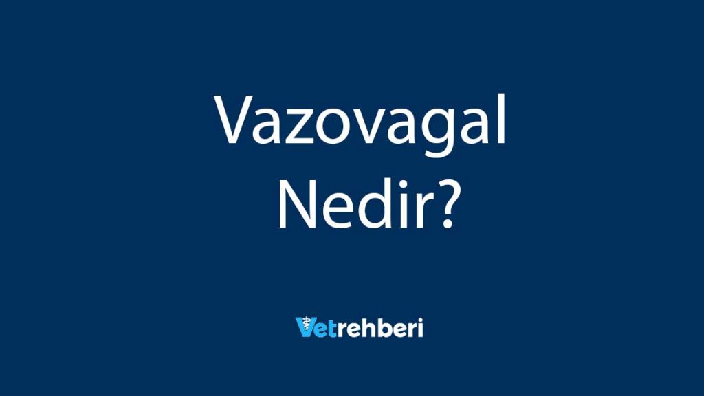 Vazovagal Nedir?