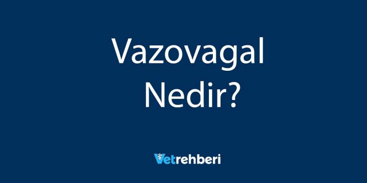 Vazovagal Nedir?