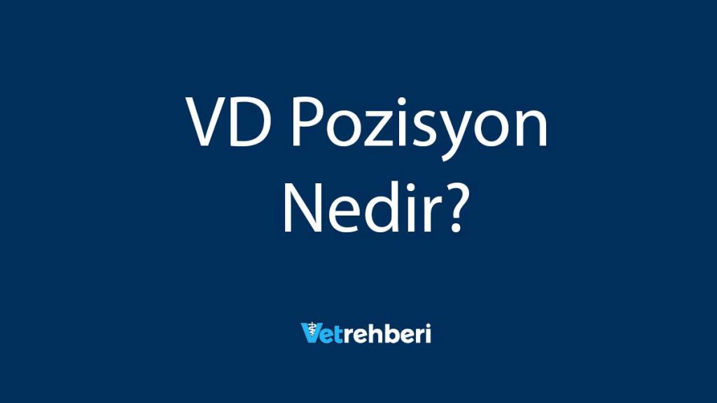 VD Pozisyon Nedir?