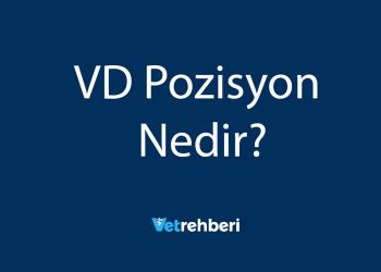 VD Pozisyon Nedir?