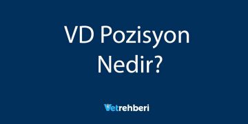 VD Pozisyon Nedir?