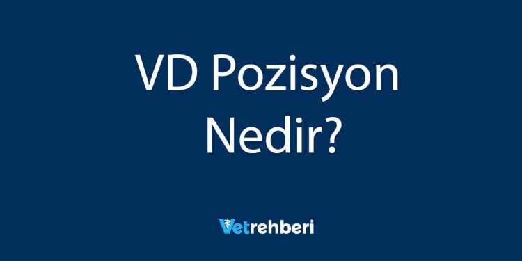 VD Pozisyon Nedir?