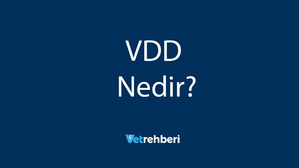 VDD Nedir?