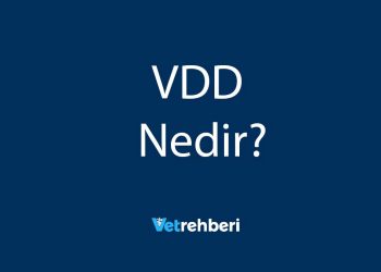 VDD Nedir?