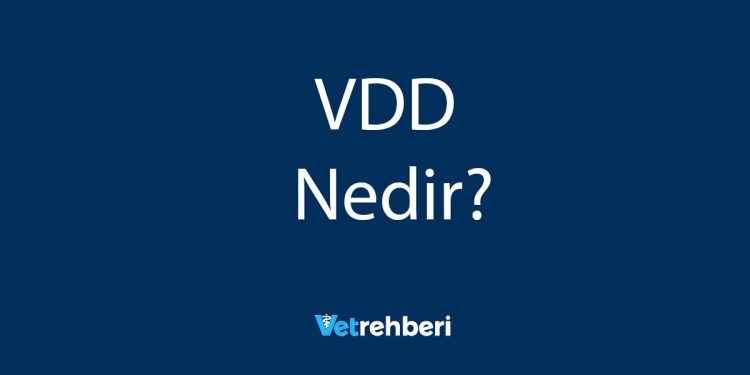 VDD Nedir?