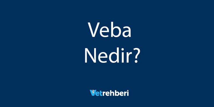 Veba Nedir?