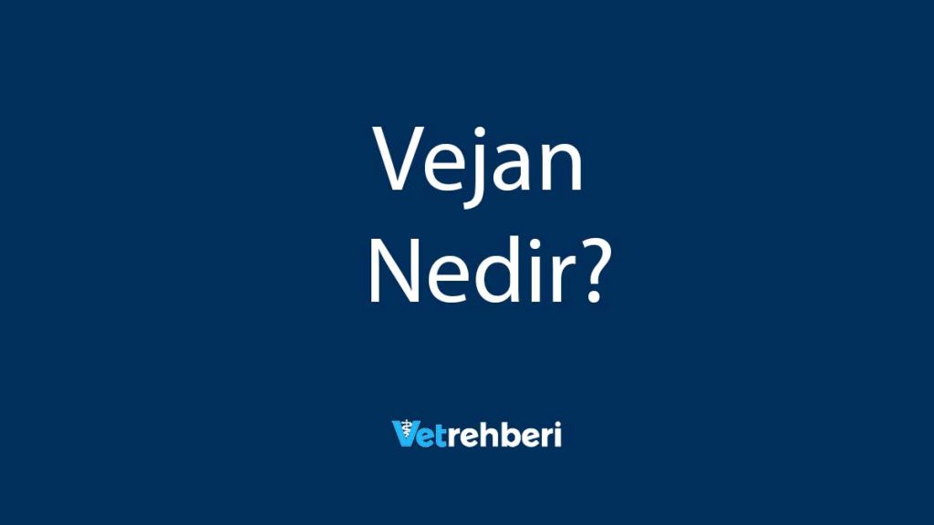 Vejan Nedir?