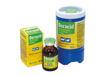 Doracid
