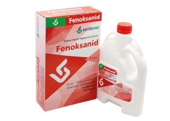 Fenoksanid