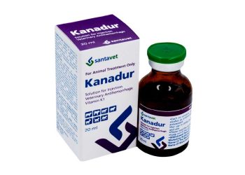 Kanadur