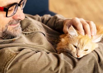 Kediniz İnsan Yaşına Göre Kaç Yaşında?