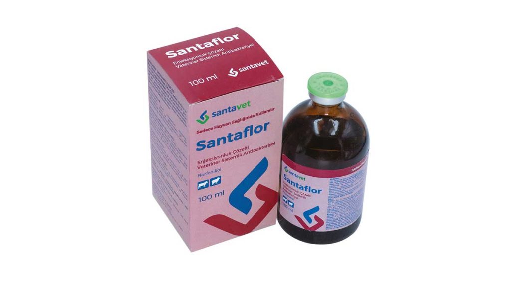 Santaflor