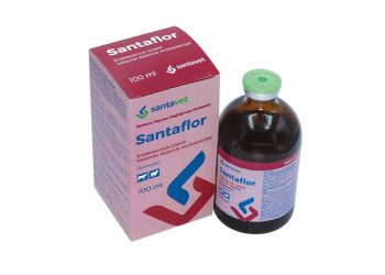 Santaflor