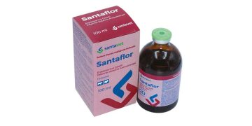 Santaflor