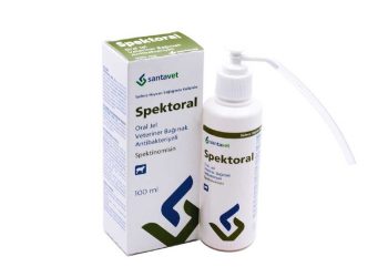 Spektoral Oral Jel