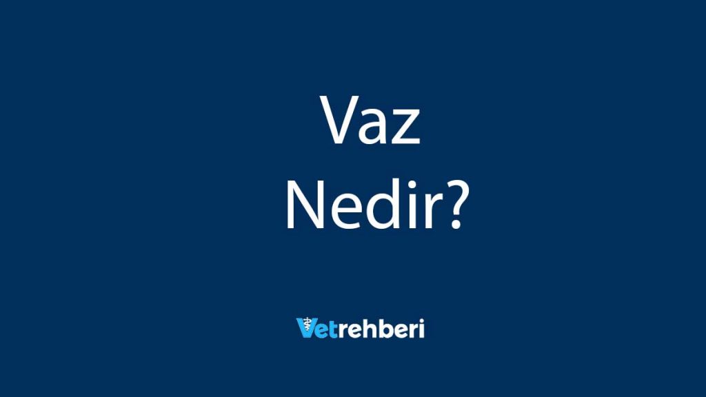 Vaz Nedir?