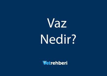 Vaz Nedir?